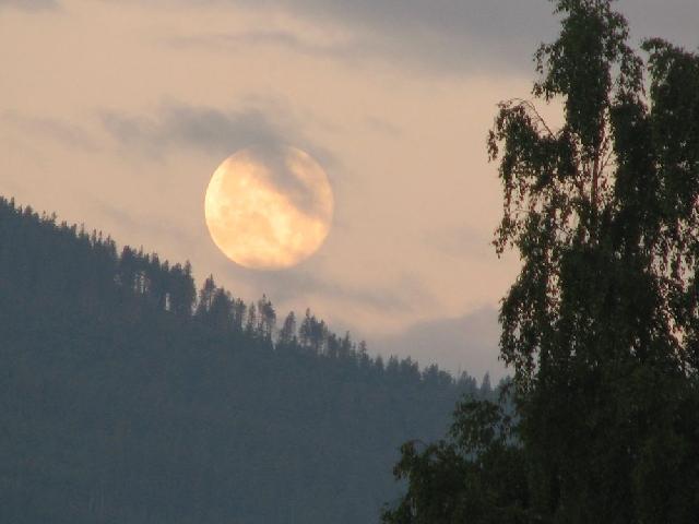 Vltava 2008 > obr (19)